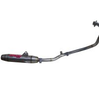 Exhaust compatible with Yamaha FZ 16 Byson 160 2010-2010, Deeptone Inox, Full system exhaust, including removable db killer 