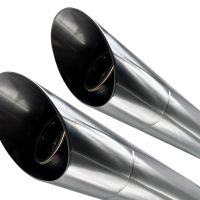 Exhaust compatible with Harley Davidson Sportster 1200 2010-2018, Slash Inox, Dual slip-on including removable db killers and link pipes 