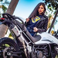 Exhaust compatible with Triumph Tiger 900 2020-2023, GP Evo4 Titanium, Slip-on exhaust including removable db killer and link pipe 