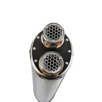 Exhaust compatible with Bmw R1200R 2011-2014, Dual Inox, Slip-on exhaust including removable db killer and link pipe 
